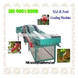 XGJ-JL Model Double lane fruit grading machine for apple,orange,kiwi,pomegranate